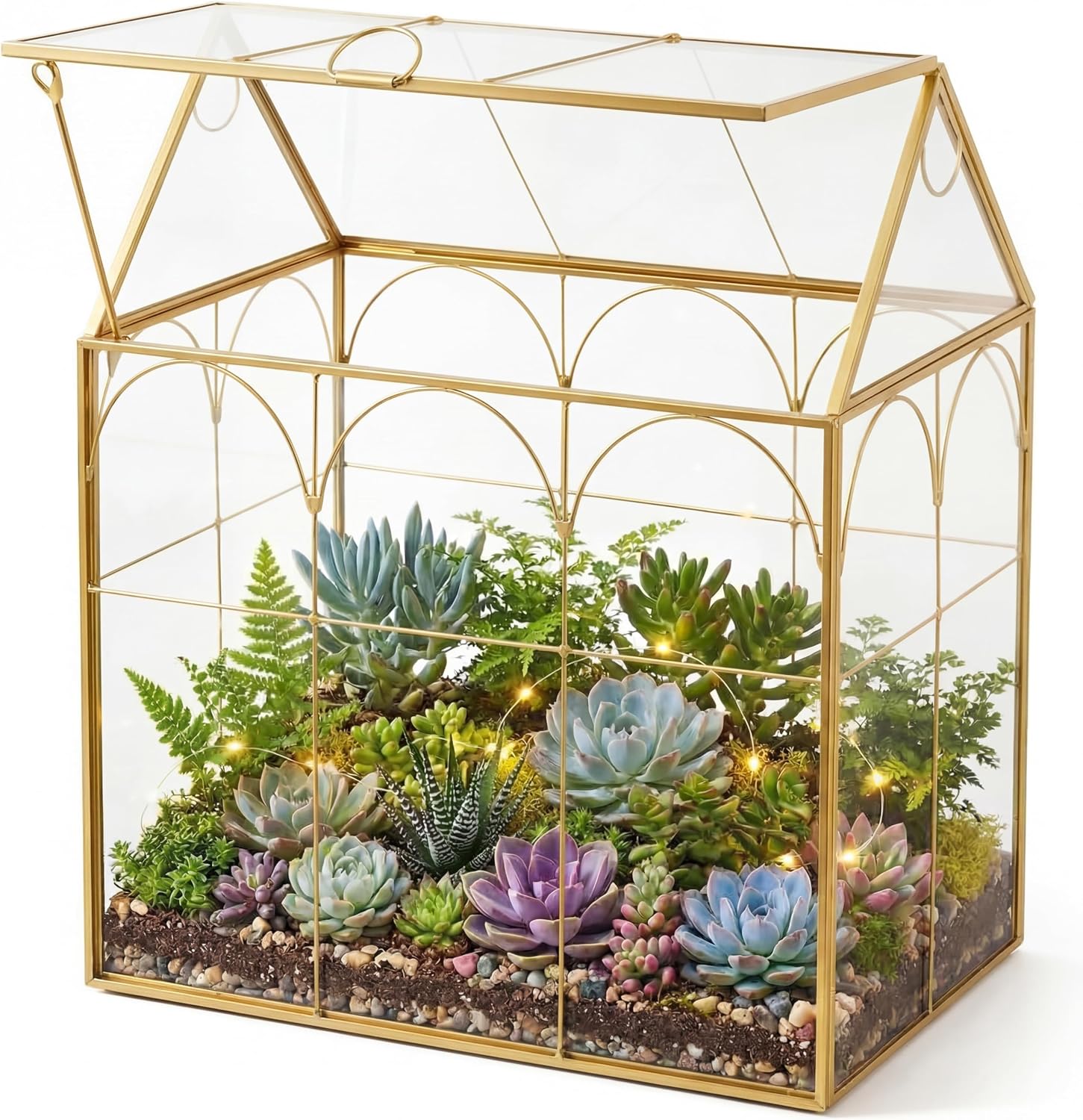 Glass House Terrarium
