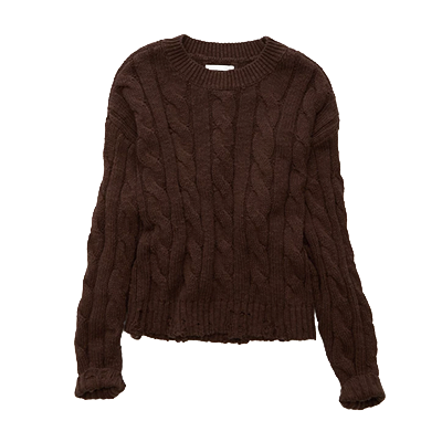 AE Cable Knit Sweater