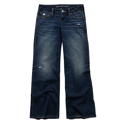 AE Lowest Rise Baggy Wide Leg Jean